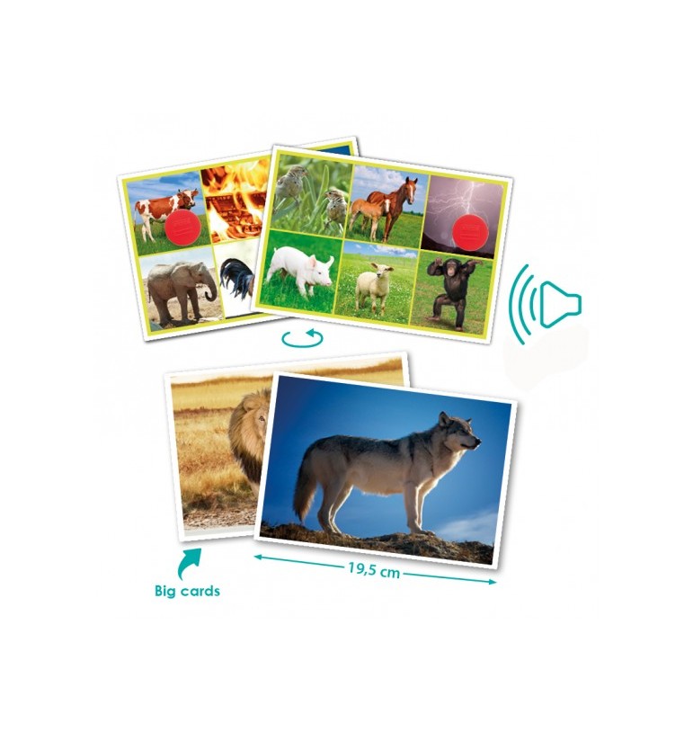 Bingo sonore des animaux et de la nature-Akros