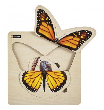 Puzzle Cycle de vie - Le papillon