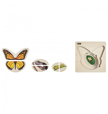 Puzzle Cycle de vie - Le papillon